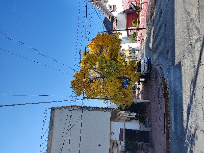 franco_cian